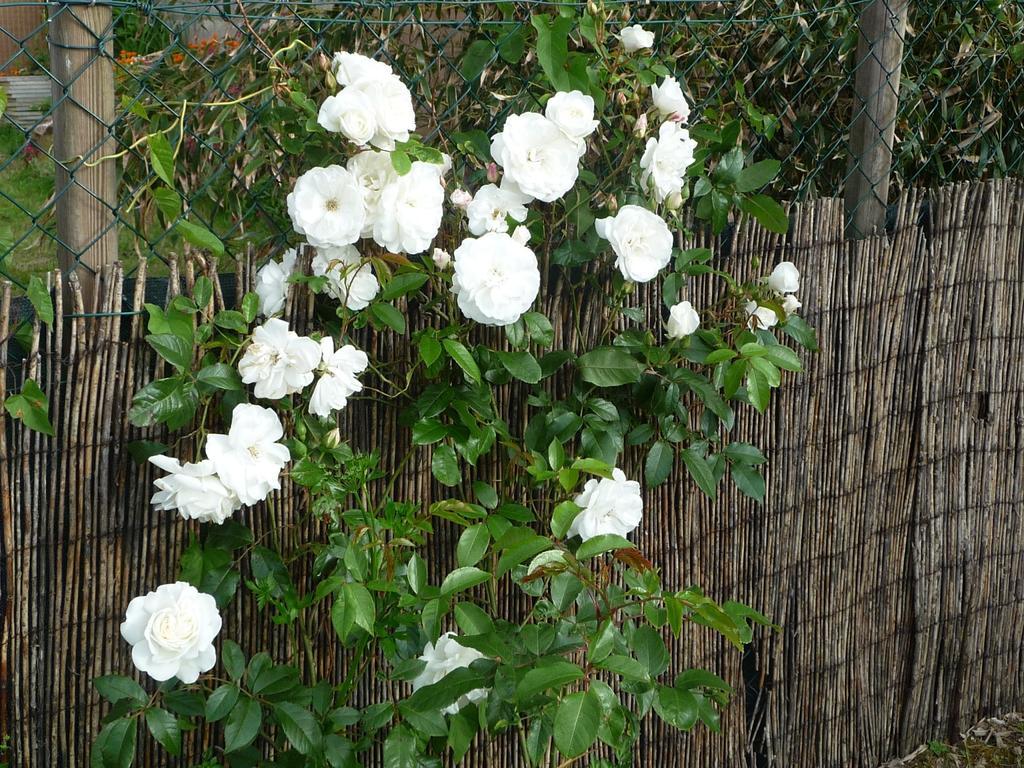 Chambre D'Hote Fleur De Potager Ле-Сабль-д'Олонн Екстер'єр фото