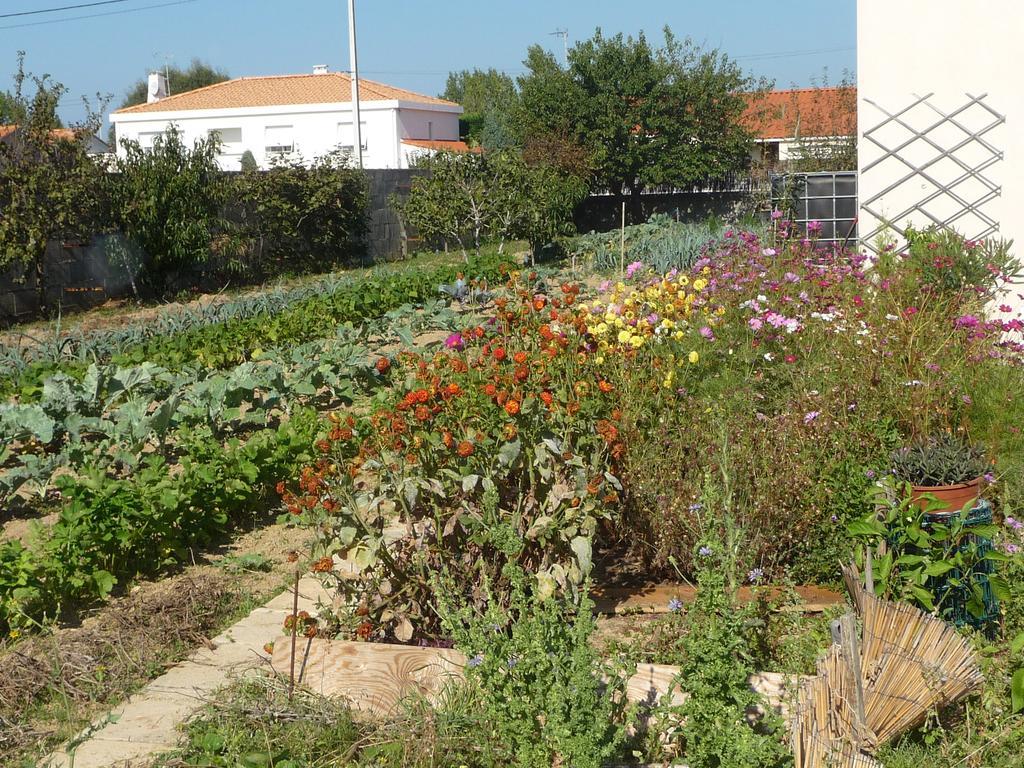 Chambre D'Hote Fleur De Potager Ле-Сабль-д'Олонн Екстер'єр фото